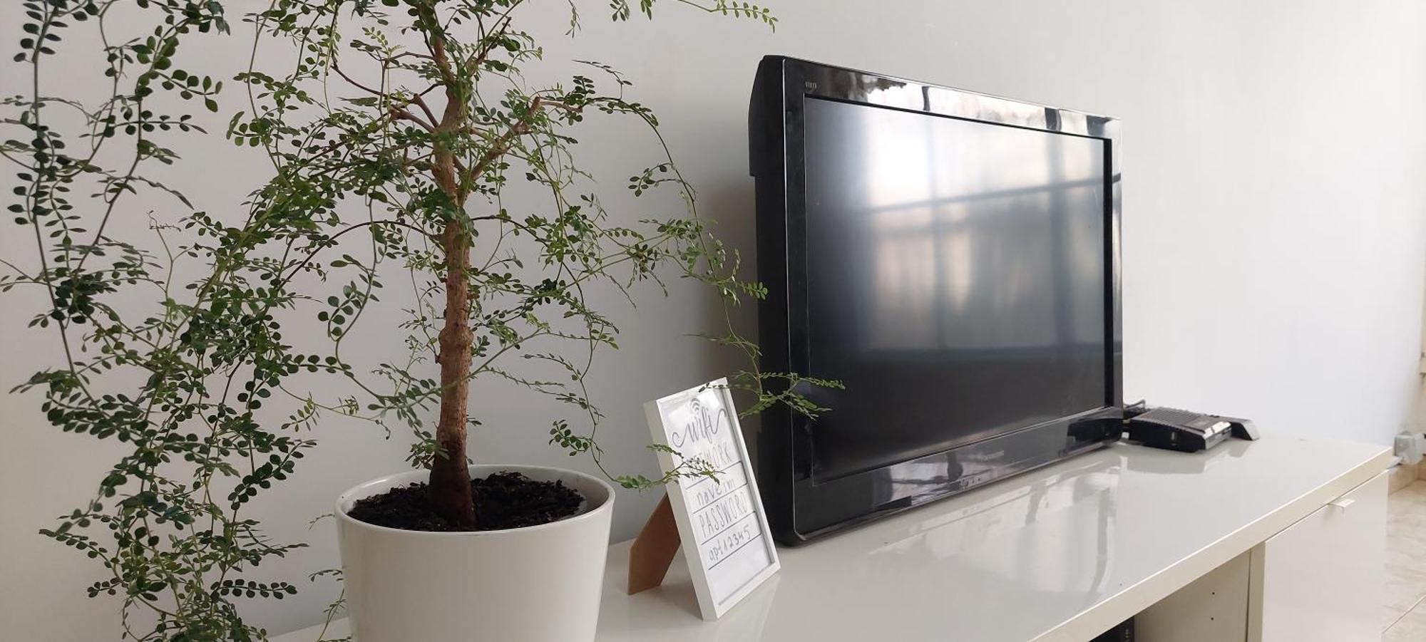 הנביאים 1 נתניה Naveim Apartment Εξωτερικό φωτογραφία